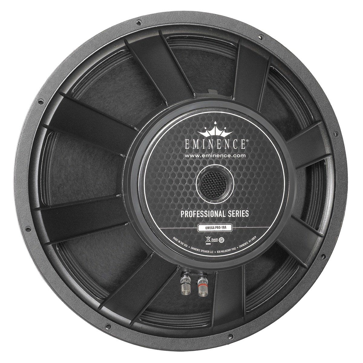 speaker pa 18 inch