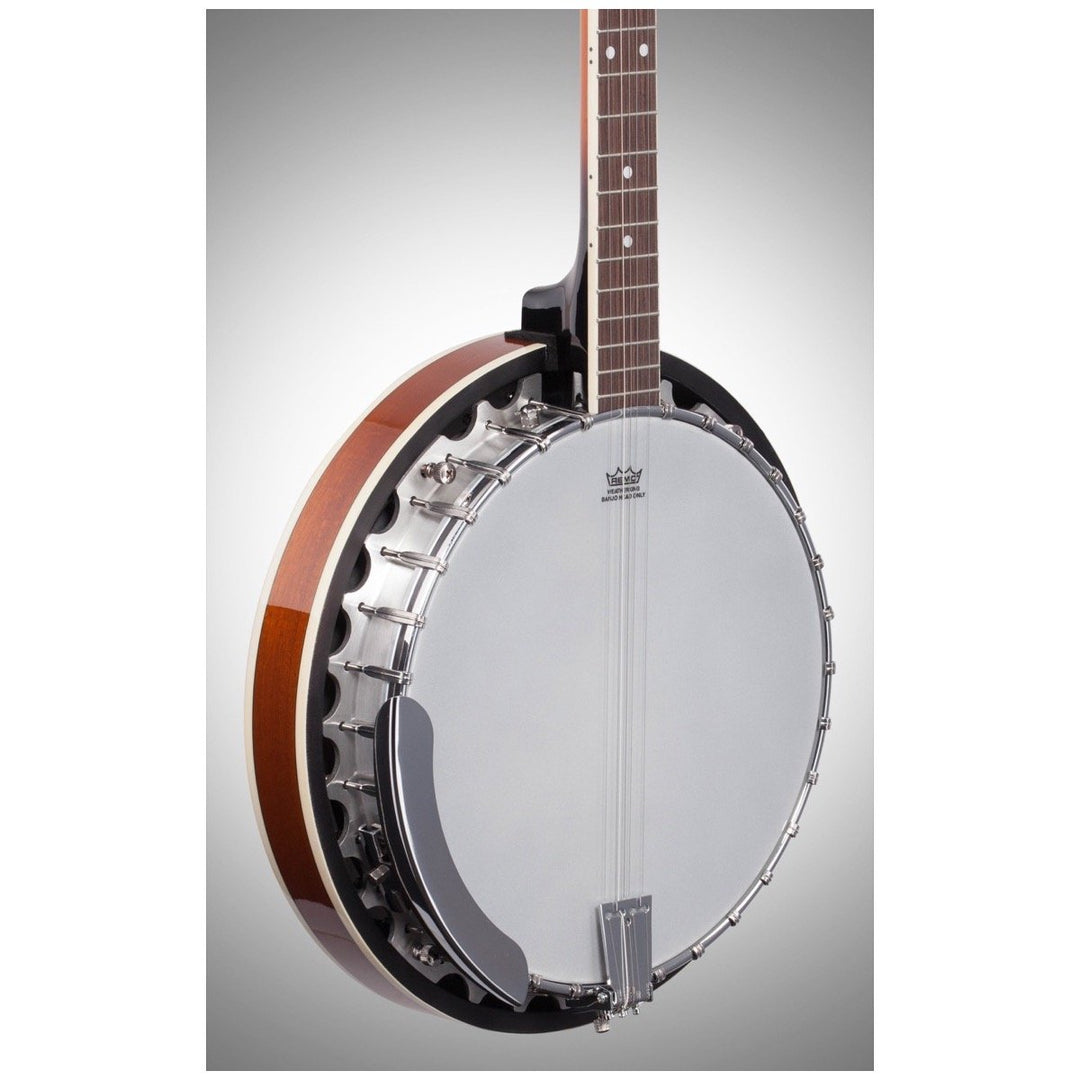 Washburn B9 Banjo