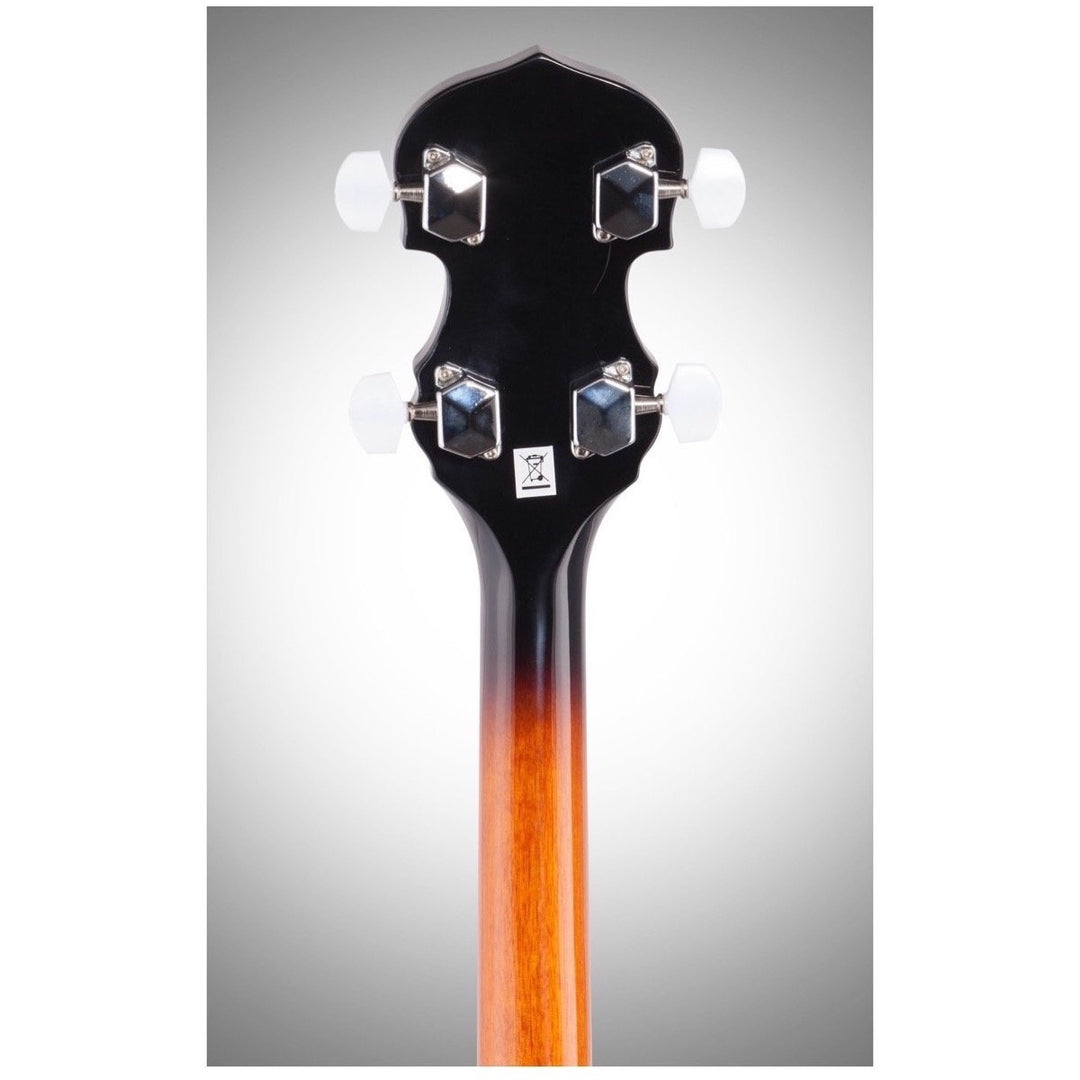 Washburn B9 Banjo