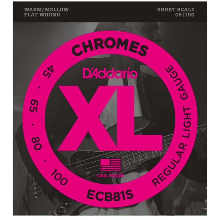 D'Addario ECB81S Chromes Flatwound Bass String (Regular Light, Short Scale)