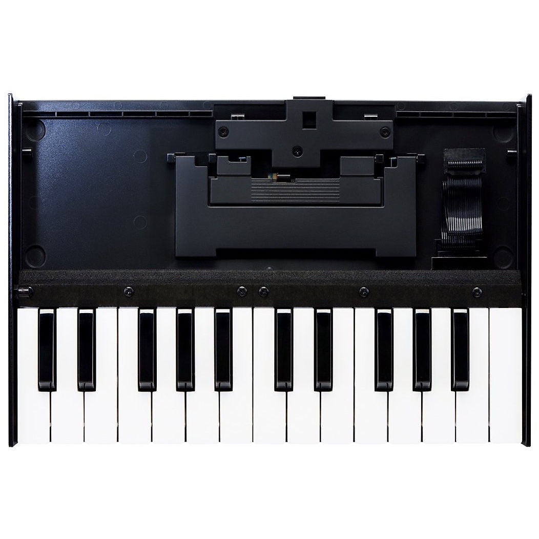 Roland K-25m USB MIDI Keyboard Dock, 25-Key