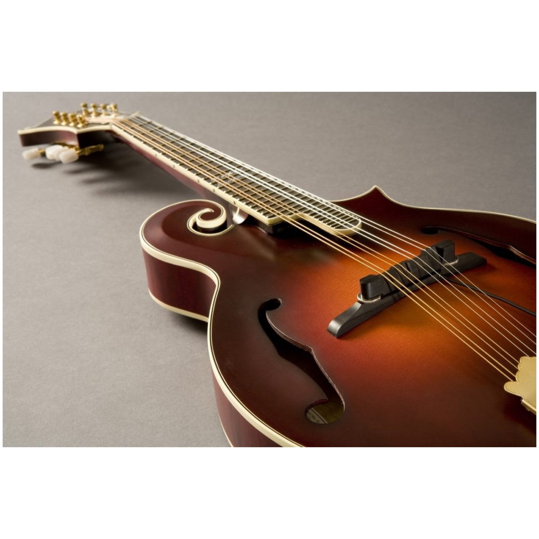 Fishman M300 Nashville Series Archtop Mandolin Pickup