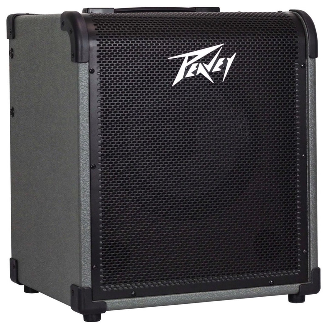 Peavey MAX 100 Bass Amplifier Combo (100 Watts, 1x10 Inch)