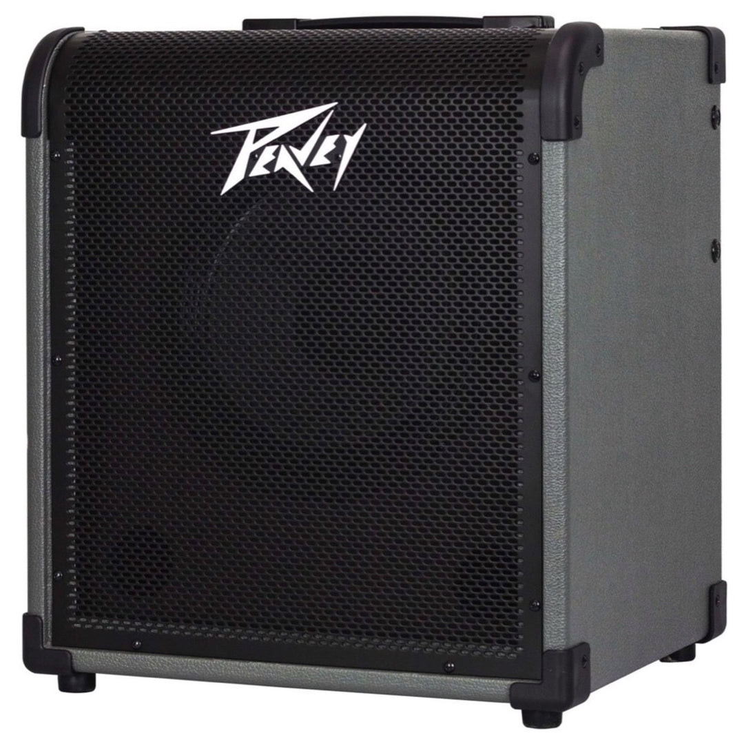 Peavey MAX 100 Bass Amplifier Combo (100 Watts, 1x10 Inch)